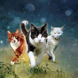 Show cover of Warrior cats mit Nachtsee und Diamantsee