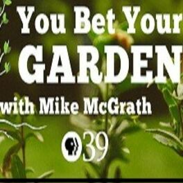 Show cover of You Bet Your Garden