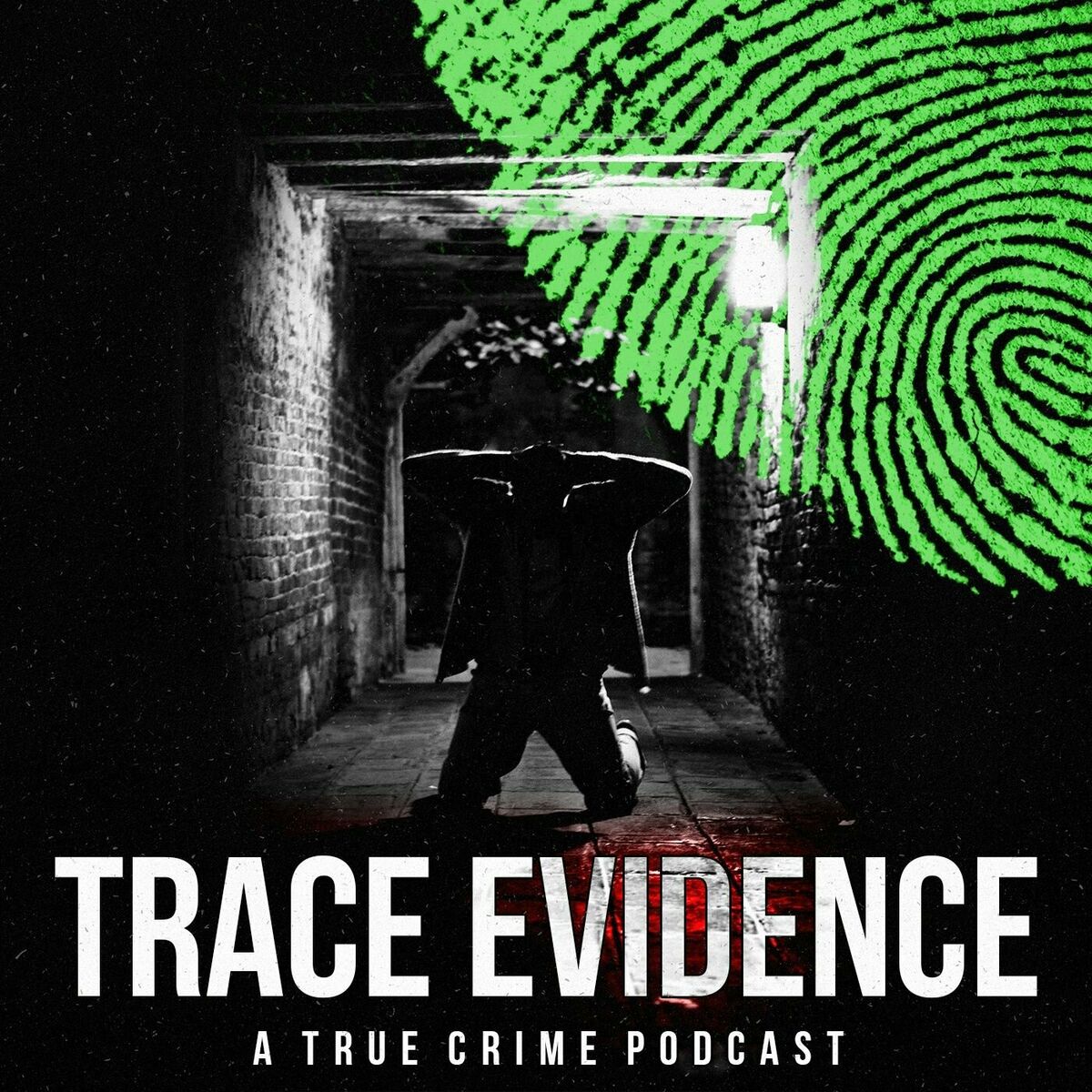 Listen to Trace Evidence podcast | Deezer