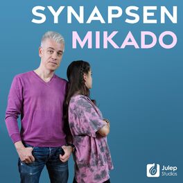 Show cover of Mittermeiers Synapsen Mikado - Gespräche mit einer 15-Jährigen