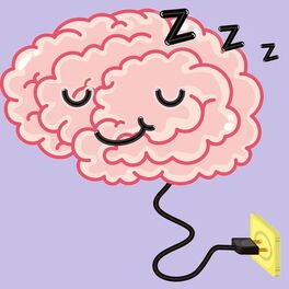 Show cover of Sleep Science Podcast