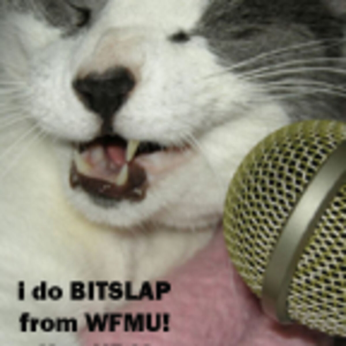 Listen to Bitslap with KBC | WFMU podcast | Deezer