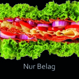 Show cover of Nur Belag