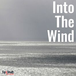 Show cover of Into The Wind