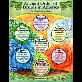 Show cover of Druid Wisdom