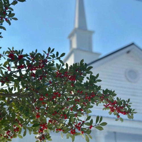 listen-to-reddicks-grove-baptist-podcast-deezer