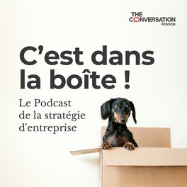 Show cover of C’est dans la boîte !