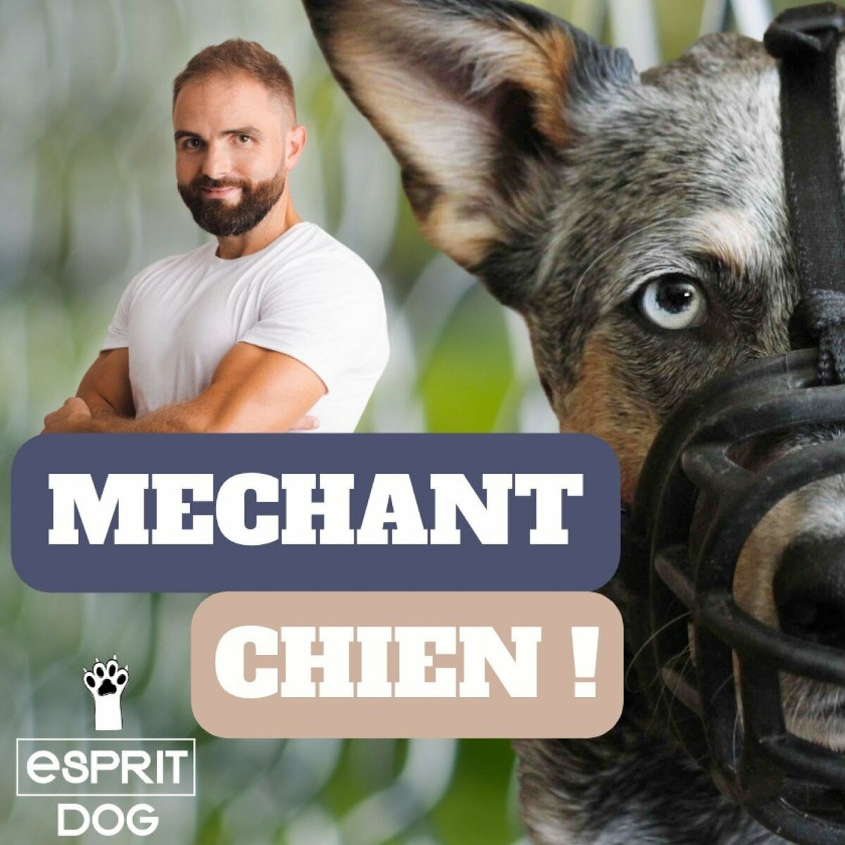 Écoute le podcast Bon baiser du chien | Deezer