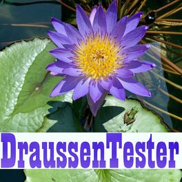 Show cover of DraussenTester
