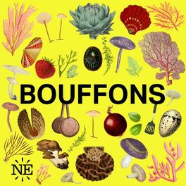 Show cover of Bouffons