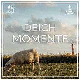 Show cover of Deichmomente