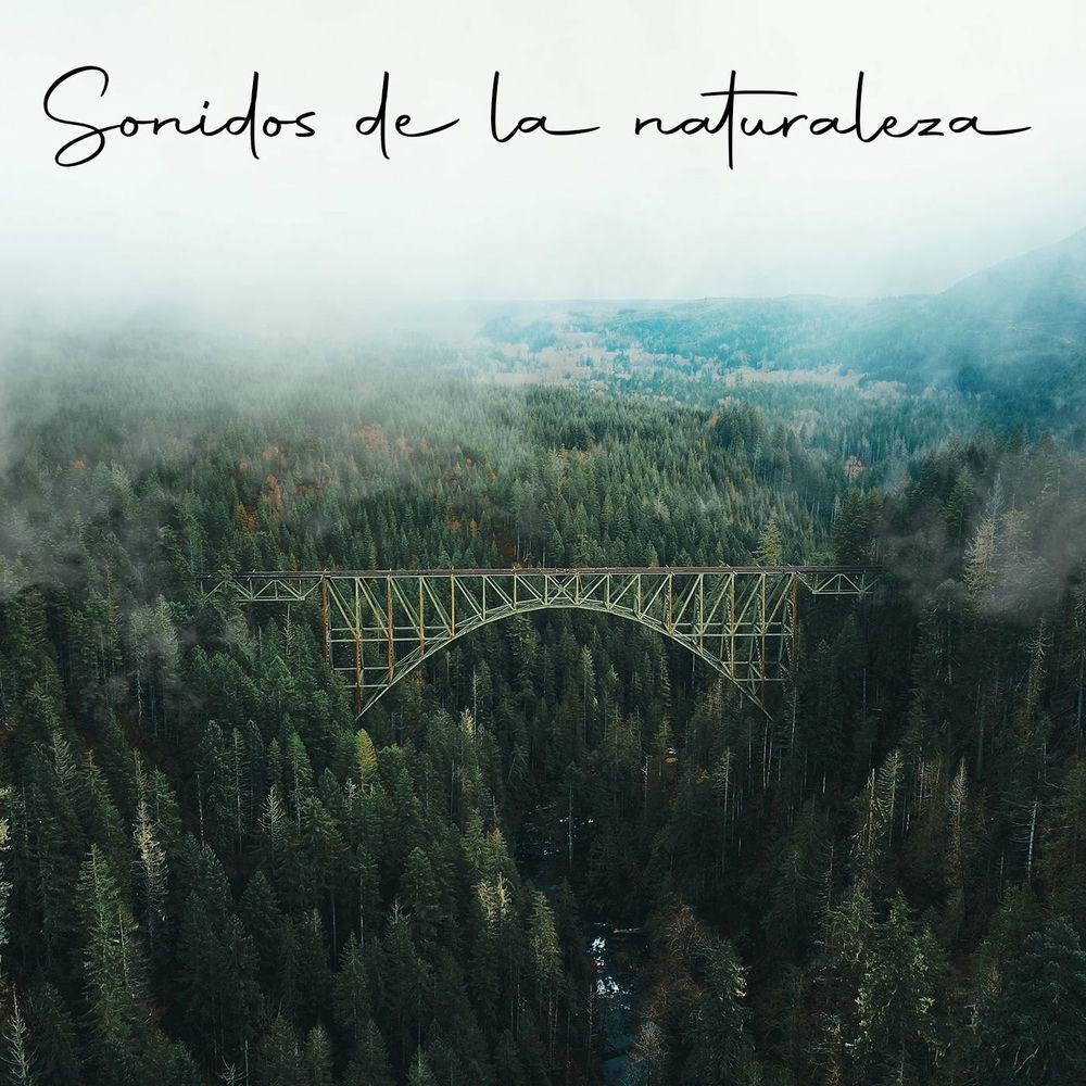 Escuchar Sonidos De La Naturaleza Para Relajarse Escuchar el podcast Sonidos de la naturaleza | Deezer