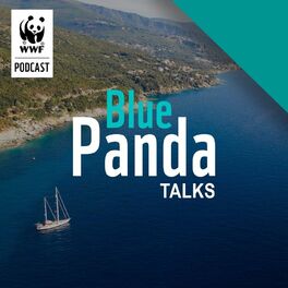 Show cover of Blue Panda Talks