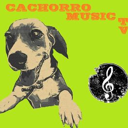 Show cover of Cachorro Music Podcast.