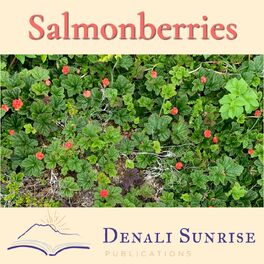 Show cover of Salmonberries