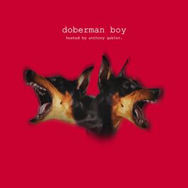 Show cover of Doberman Boy