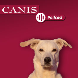 Show cover of Der CANIS-Podcast – Hundeexpert:innen ausgefragt