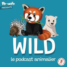 Show cover of Wild, le podcast animalier