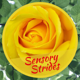 Show cover of Sensory Strides podcast