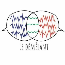 Show cover of Le Démêlant