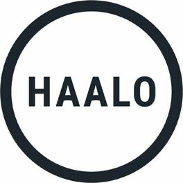 Show cover of HAALO: Construction and Real Assets industry insights