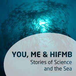 Show cover of You, Me & HIFMB - Stories of Science and the Sea