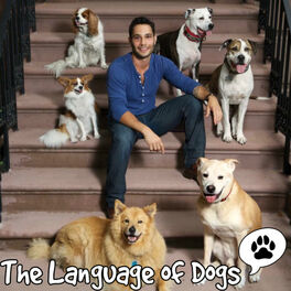 Show cover of The Language Of Dogs