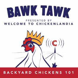 Show cover of Bawk Tawk! Your 100% Friendly Backyard Chickens Show