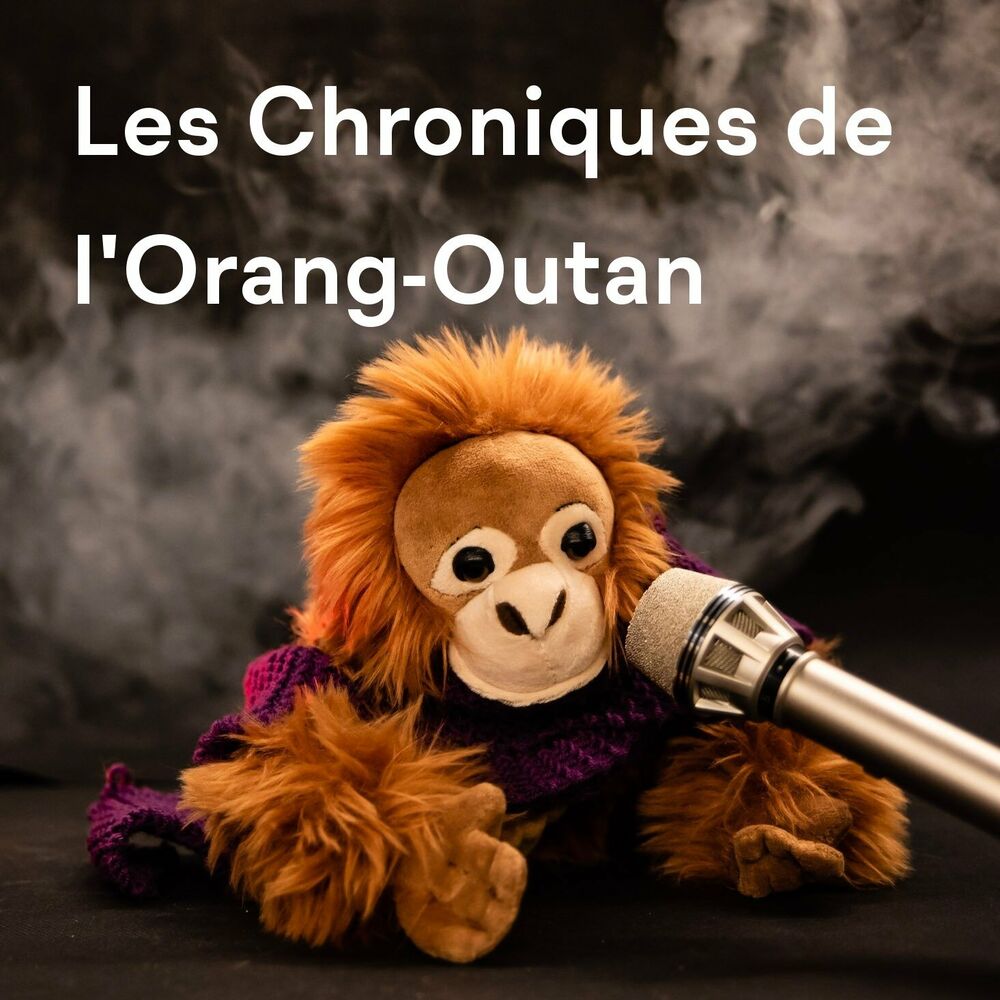 L'orang-outan, le singe qui sait parler du passé