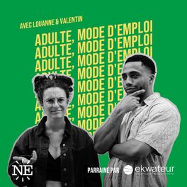 Show cover of Adulte, mode d'emploi