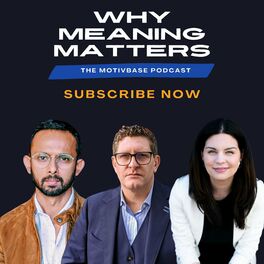 Show cover of Why Meaning Matters