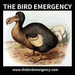 Show cover of The Bird Emergency