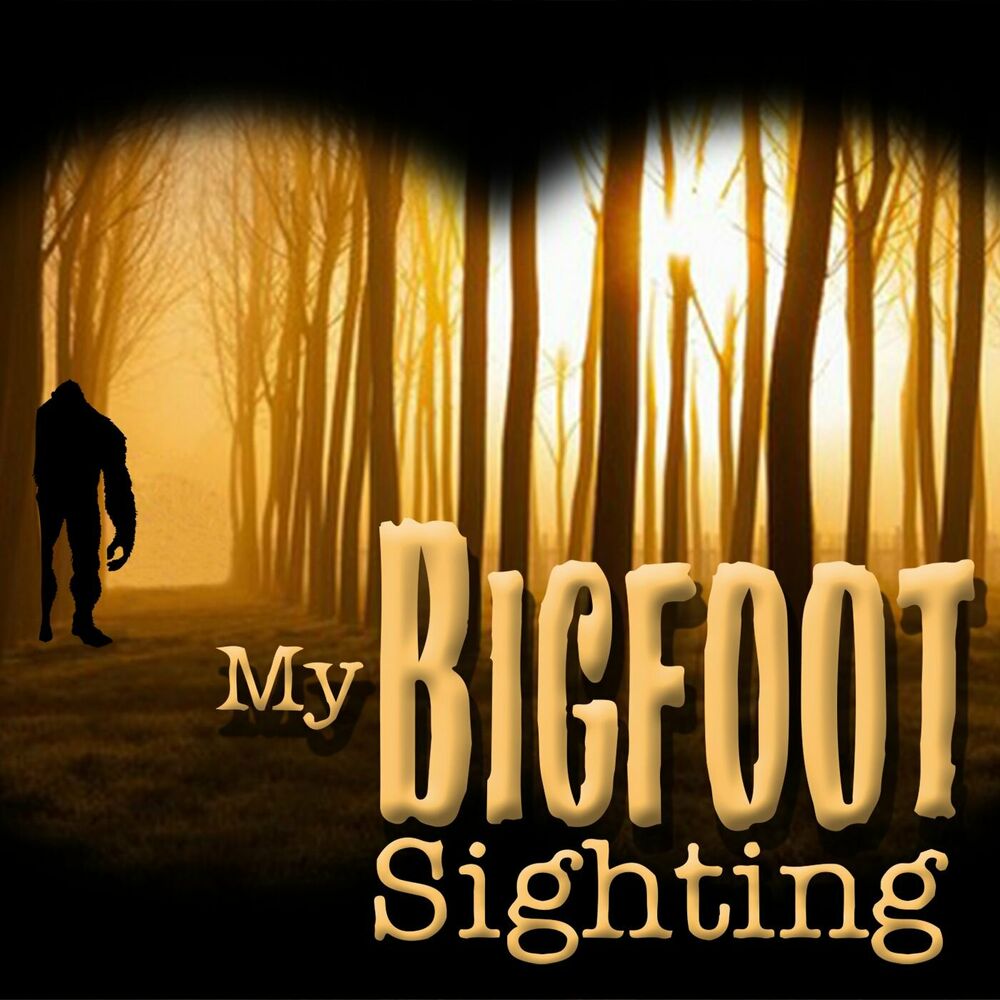 sighting of bigfoot