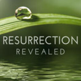 Show cover of Resurrection Revealed