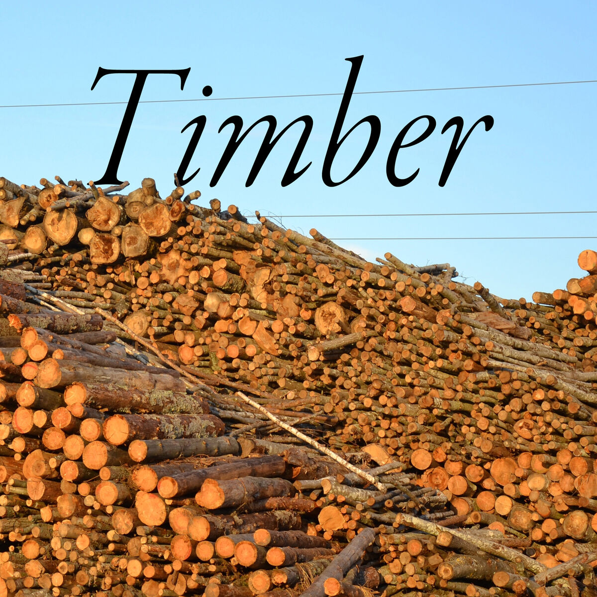 Listen to Timber podcast | Deezer