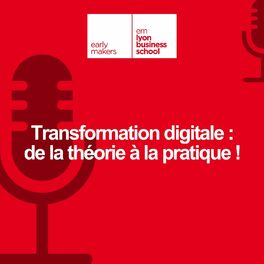 Show cover of Transformation digitale : de la théorie à la pratique !