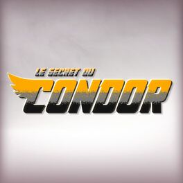 Show cover of Le secret du Condor