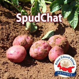 Show cover of SpudChat