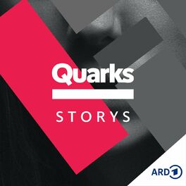 Show cover of Quarks Storys
