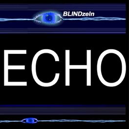 Show cover of Echo - Der Podcast