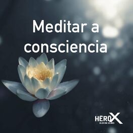 Show cover of Meditar a consciencia