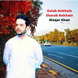 Show cover of Gulab Ankhain Sharab Ankhain by Waqar Khan