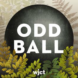 Show cover of Odd Ball Podcast