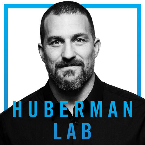 new york article huberman