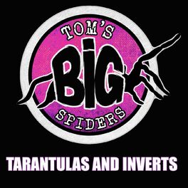 Show cover of Tom's Big Spiders - Tarantulas and Inverts
