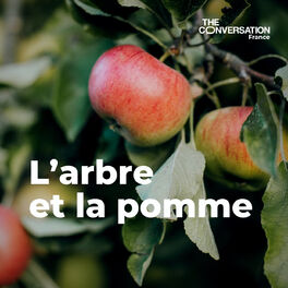 Show cover of L’arbre et la pomme