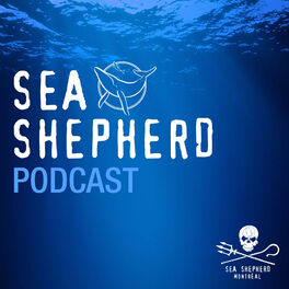Show cover of Sea Shepherd Montréal Podcast