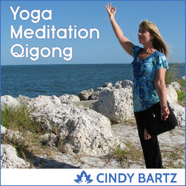 Show cover of Yoga, Meditation & Qigong