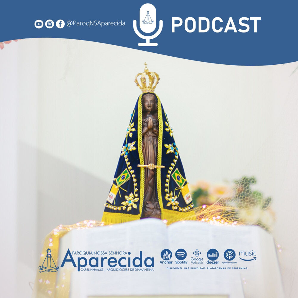 Paróquia Nossa Senhora Aparecida: Mensagem aos padres pelo seu dia