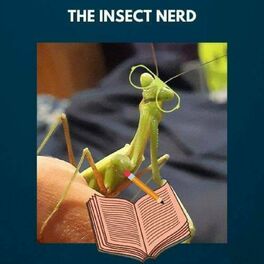 Show cover of The Insect Nerd Zara Breden's podcast